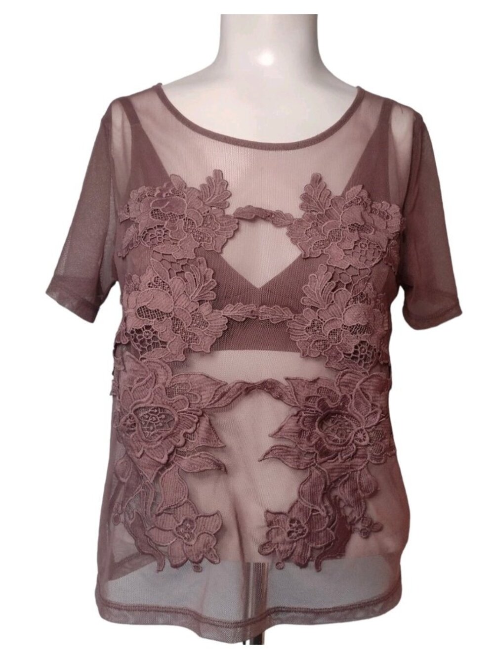 Sheer Mesh Embroidered Floral Top Bralette Set S Mauve Fairy Festival Coquette